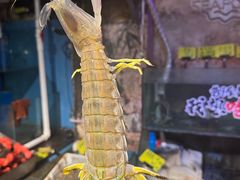 -辉记炭烧海鲜大排档·老字号(福田店)