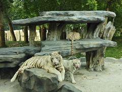 -北京野生动物园