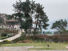 -铁山坪森林公园