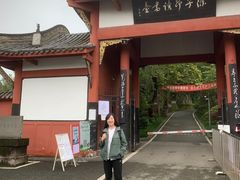 -子昂故里文化旅游区