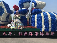 -荷兰花海