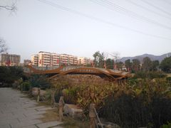 -光明港公园