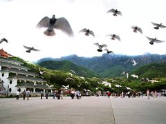 -丹东市五龙山风景区