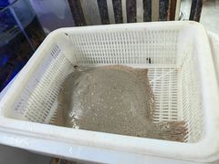 -日照大牌檔•小船海鲜(万平口店)