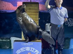 -顺德南宏海立方海洋公园