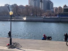 -海河游船-永乐码头(大悲院)