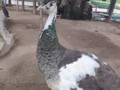 -陕西自然博物馆