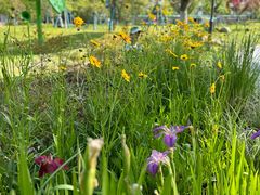 -宁波儿童公园(鄞州区)