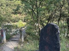 -黑河国家森林公园