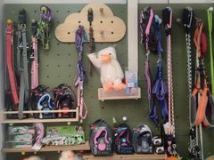 -唐小姐の私宠·宠物洗护美容·撸猫馆·购宠(周浦万达旗舰店)