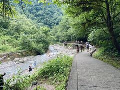 -西岭雪山大飞水景区