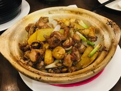 砂锅啫牛蛙煲-新旺茶餐厅(嘉里城店)