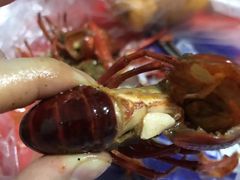 -袁老大龙虾(石鼓路总店)