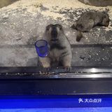 带上宝贝来室内动物园清凉过夏天吧