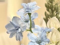 -宜家家居(四元桥商场店)