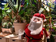 -1861意大利餐厅(文化广场店)