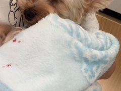 -美联众合动物医院·24h京西诊疗中心