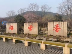 -香雪海