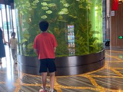 -江南环球港