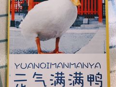 -万能料理屋(钟鼓岭路店)