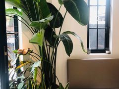 -Fridi Patisserie Cafe