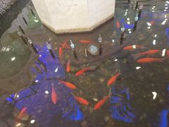 -碧中海汤泉汗蒸酒店