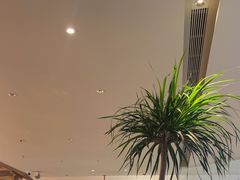 -桂满陇·蟹黄小笼汤包(巴黎春天浦建店)