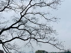 -长广溪湿地公园
