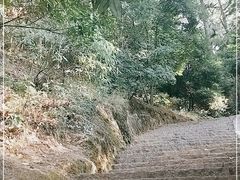 -昆明市金殿名胜区
