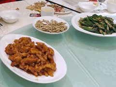 -陶然饺子城(奥体中路店)