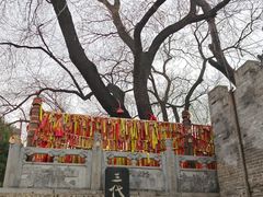 -大槐树寻根祭祖园