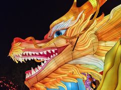 -武汉园博园(武汉自然博物馆)