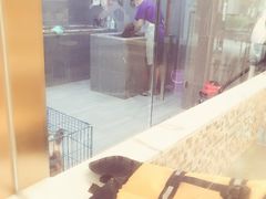 -悠尼宠物·独立低压伊珊娜洗护·美容·寄养(兰谷路店)