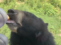 -大连森林动物园