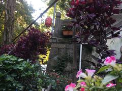 -国生茶庄·地道农家菜团建活动