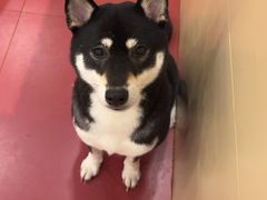 -和它·交个朋友·狗咖猫咖(爱琴海店)