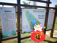 -芒洲湿地公园