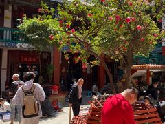 -云南古玩城(护国路店)