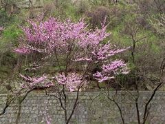 -华山风景名胜区