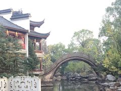 -龙天小镇