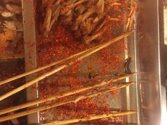 -西单翅酷(西单店)