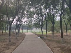 -太阳宫足球俱乐部