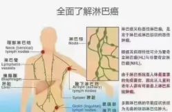 -香薇妮丝·定制减肥·身材管理