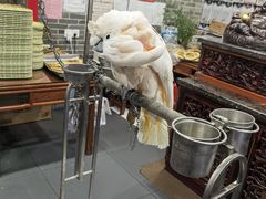 -四海楼(如皋定慧禅寺店)