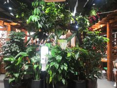 -草原塞蛮羊火锅城(港湾店)