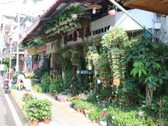 -溪岸路花鸟市场