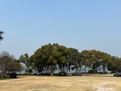 -浙江西子宾馆·牡丹厅