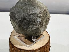 -中国地质博物馆