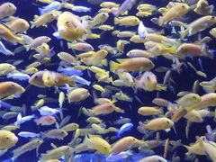 -成都浩海立方海洋公园