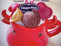 嗨杯牛YEAR-哈根达斯(武汉天地店)